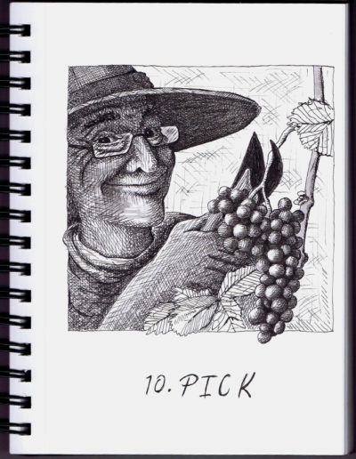 Pick - Inktober - Pen and Ink drawing by Bob Fappiano Fappiano ART